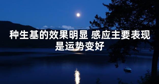 种生基的效果明显 感应主要表现是运势变好